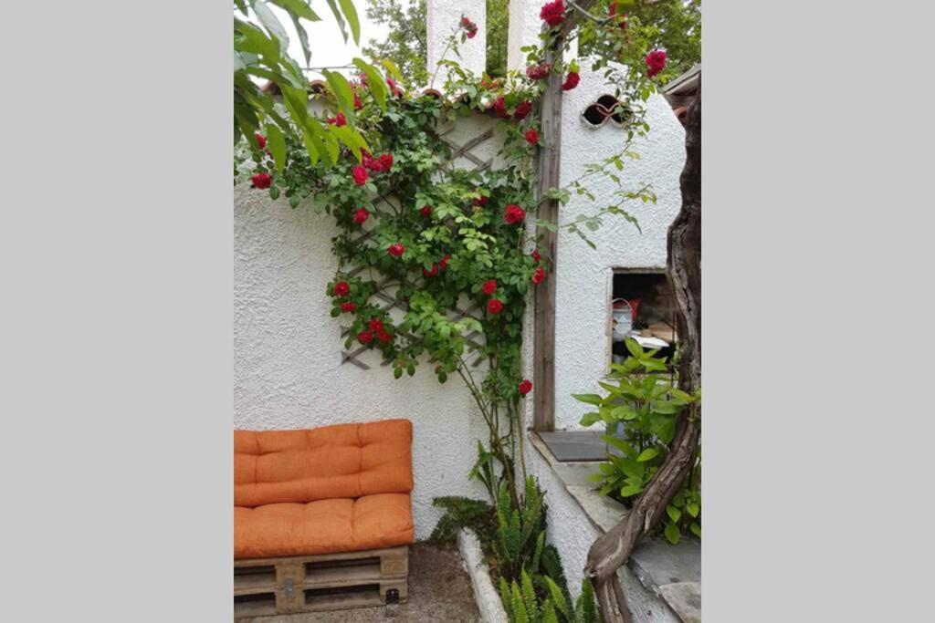 αρχοντικο στουσ προποδεσ του ορουσ διρφυσ Holiday home
